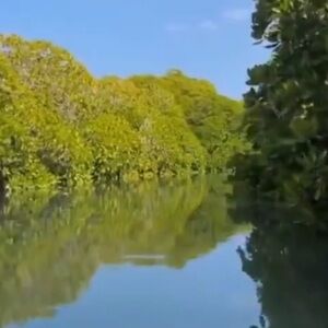 Meet your Posher, Britta